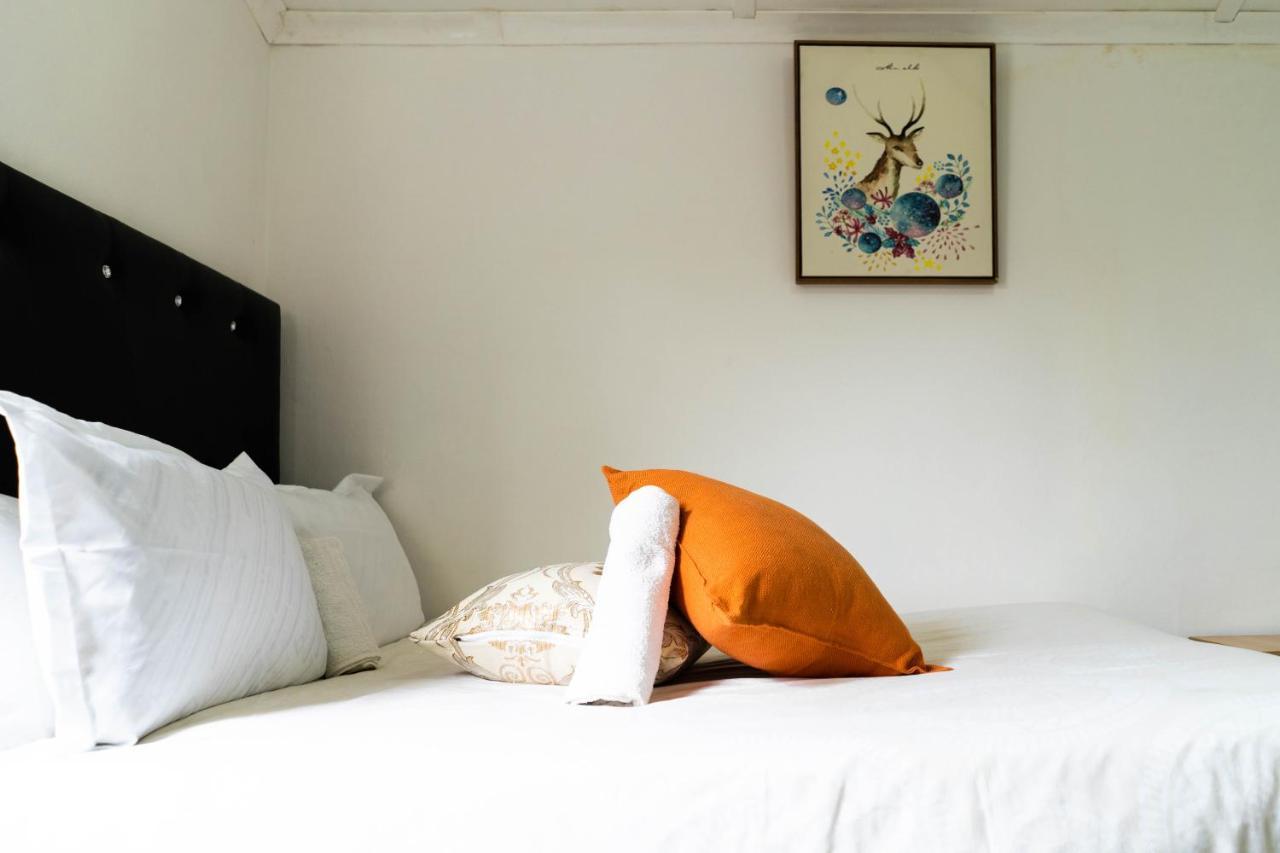 Albrine Lodge Bellville Ngoại thất bức ảnh